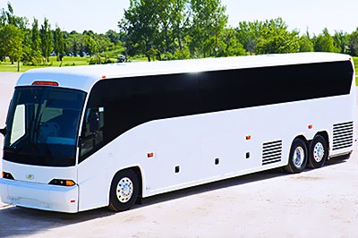 Whithe bus charter